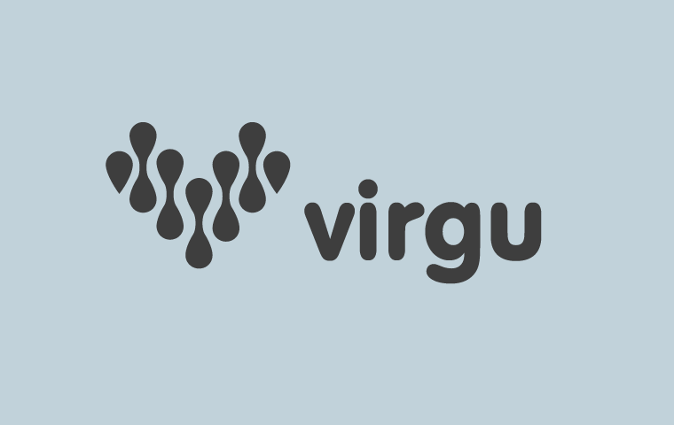 Virgu - Alojamento web